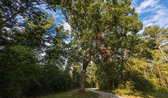 0 Brooksie Thompson Rd, Bath Springs, TN 38311