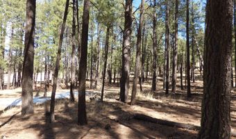 8 B County Road 2267 Escudilla Rd, Alpine, AZ 85920