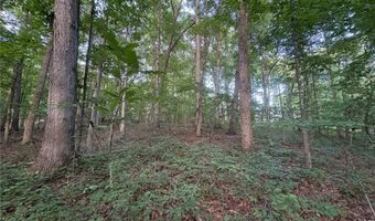 160 Hightower Lake Trl, Ball Ground, GA 30107