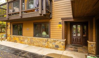 650 S Monarch St 9, Aspen, CO 81611