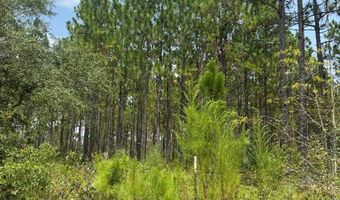 Luke Road lot 02, Ashburn, GA 31714