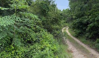 TBD Pine Street, Arkadelphia, AR 71923