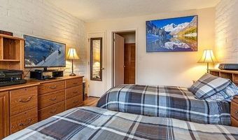 313 VINE St 313, Aspen, CO 81611