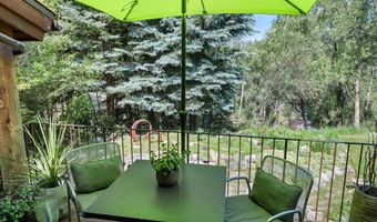 117 Neale Ave, Aspen, CO 81611