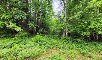 13727 Big Hawk Dr, Bigfork, MT 59911