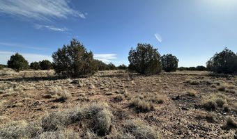 116 B NE Raging Crab Rd, Ash Fork, AZ 86320