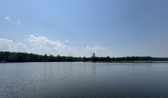 6378 Macey Ln, Alpena, MI 49707