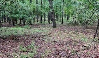 450 Apple Trl, Bogue Chitto, MS 39629