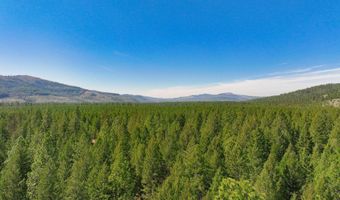 Nna Coyote Pass Road, Blanchard, ID 83804