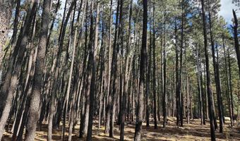 Alamosa Terrace lot 929, Angel Fire, NM 87710