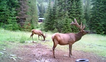 1728 Dry Creek Rd, Clark Fork, ID 83811