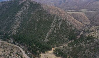 122 Black Hollow Rd, Bellvue, CO 80512