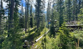 Nhn Cataract Creek Road, Basin, MT 59631