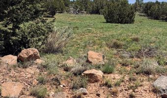 79 Co Rd, Concho, AZ 85924