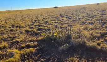 CR 5074 lot 4, Concho, AZ 85924