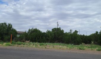 135 County Road 5050, Concho, AZ 85924