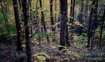 Tynecastle Drive lot 35, Banner Elk, NC 28604