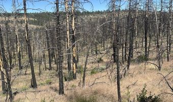 Wren Dr lot 11, Bonanza, OR 97623