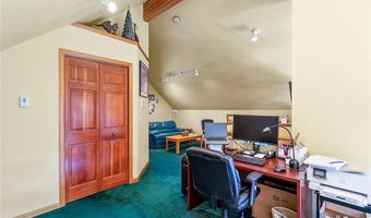463 Blue Flag Cir, Breckenridge, CO 80424