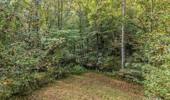 19 Woodchuck Cove Way, Alexander, NC 28701