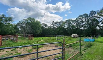 3350 SE Mount Pleasant Ln, Bogue Chitto, MS 39629