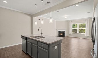 564 Chessie Sta, Apex, NC 27502