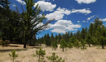 10 N2310, Alpine, AZ 85920