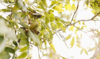 2778 SW Big Creek Dr, Bogue Chitto, MS 39629