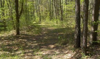 Steve Brown Road, Bean Station, TN 37708