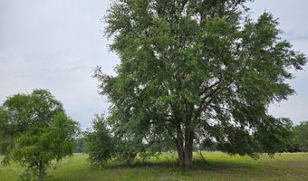 000 15th St, Bell, FL 32619