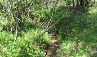 63 Sugar Hill Tunnel Rd, Amherst, VA 24521