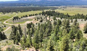 77 Alpha View Pl, Cascade, ID 83611