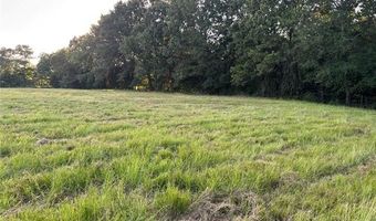 7 Cornelius Rd, Antlers, OK 74523