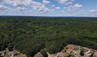 TBD Pine Street, Arkadelphia, AR 71923
