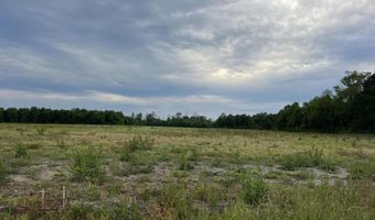 Sr 1918 Road, Aurora, NC 27806