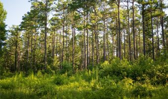 CARPENTER ROAD, Bastrop, LA 71220