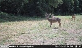 000 Hwy 105, Atkins, AR 72823