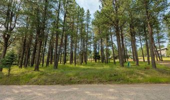 Lot 1127 Spyglass Hill Rd, Angel Fire, NM 87710