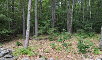 17 Doris Ln, Parsonsfield, ME 04047