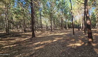 22 Peterson Creek Rd, Aurora, NC 27806