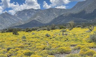 4 Camp Bonanza Rd, Cold Creek, NV 89124