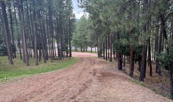 19 Black Lake Ter, Angel Fire, NM 87710