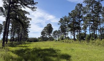 0 S County Road 33, Ashford, AL 36312