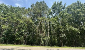 Ridge Road lot 1-E, Appling, GA 30802