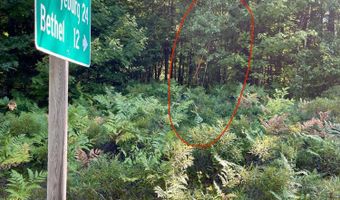 Birch View Drive lot # 0, Albany Twp., ME 04217