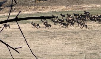 31850 Yearling Run, Alberton, MT 59820