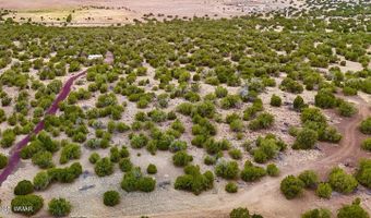 37 Co Rd N8174 10.1 Acres, Concho, AZ 85924