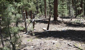 80 Ranch Rd, Bayfield, CO 81122