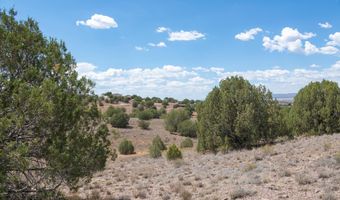 14 Xx W Bison Hunt Way, Chino Valley, AZ 86323