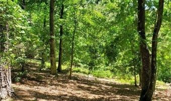 0 Lynn Lk, Barhamsville, VA 23011